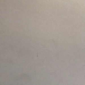 Meet your Posher, Thang